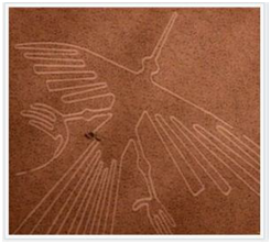 纳斯卡巨画(图1) 纳斯卡巨画(图1)